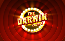 DARWIN - Набор инструментов и видео-уроков для заработка в телеграм на